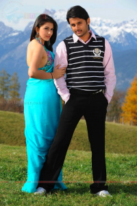 Seetharamula Kalyanam photos
