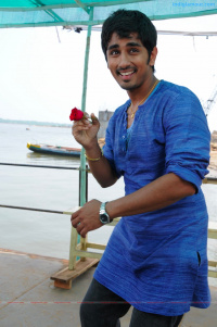 Bava photos