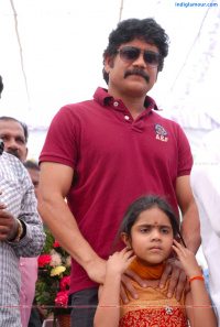 Anr Birthday Celebrations photos