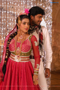 Seema Tapakaya photos