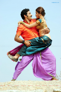 Nandiswarudu photos
