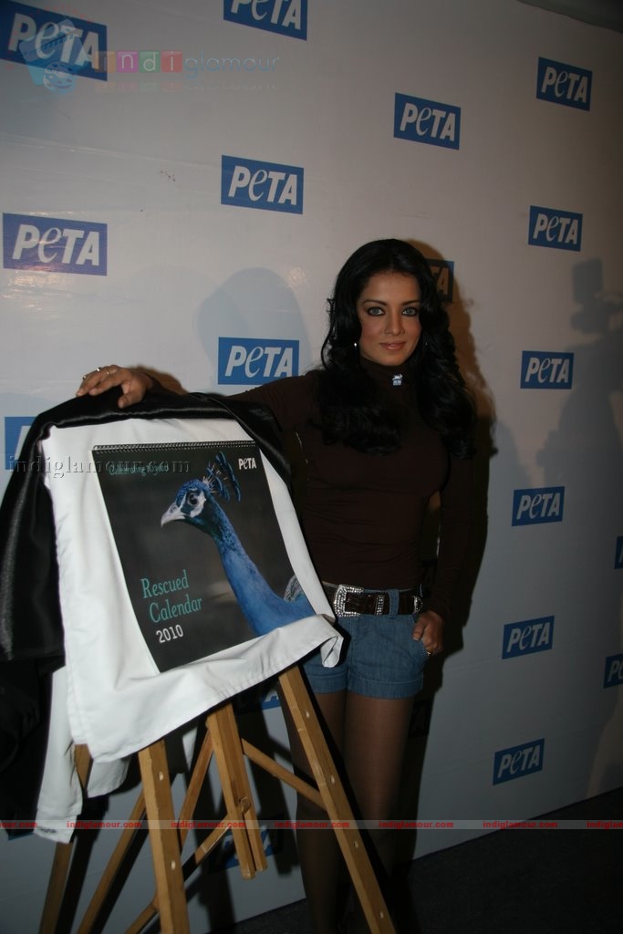 Celina Jaitley Actress hd photo