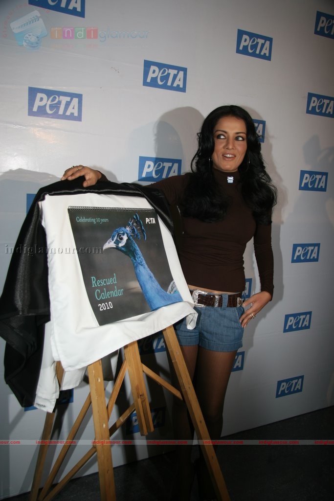 Celina Jaitley Actress hd photo