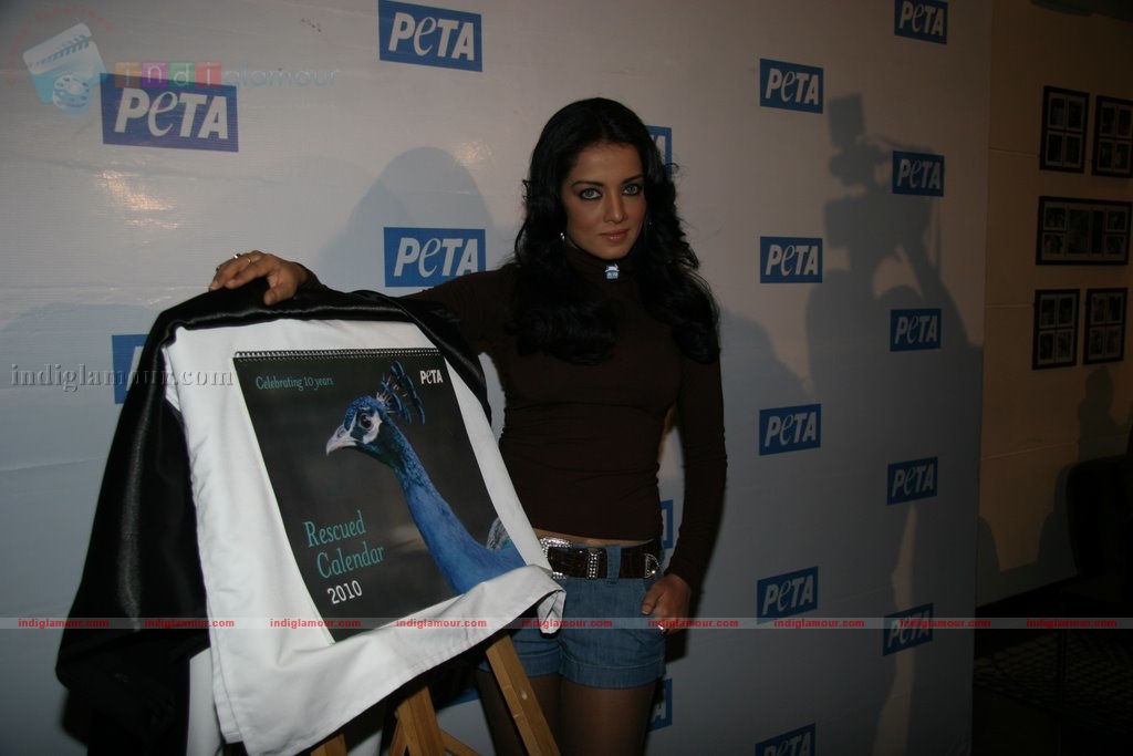 Celina Jaitley Actress hd photo