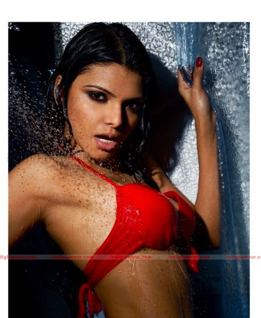 Sherlyn Chopra Actress hd photo
