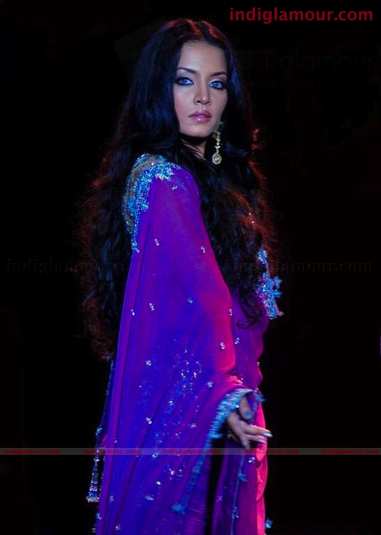 Celina Jaitley Actress hd photo