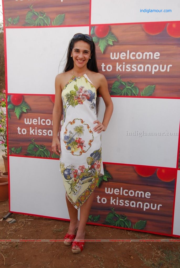 Tara Sharma Actress hd photo