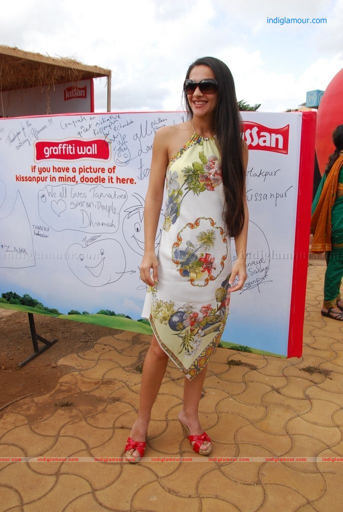 Tara Sharma Actress hd photo