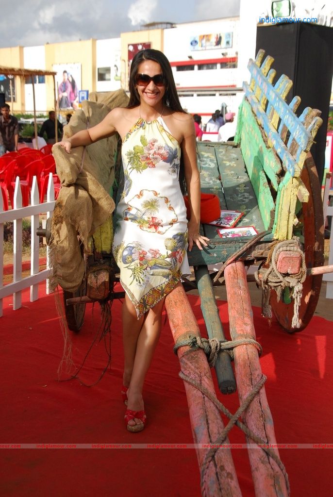 Tara Sharma Actress hd photo