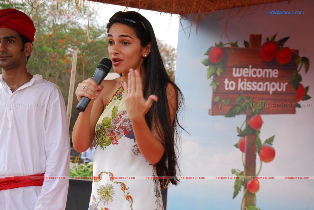 Tara Sharma Actress hd photo