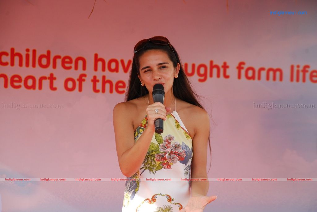 Tara Sharma Actress hd photo