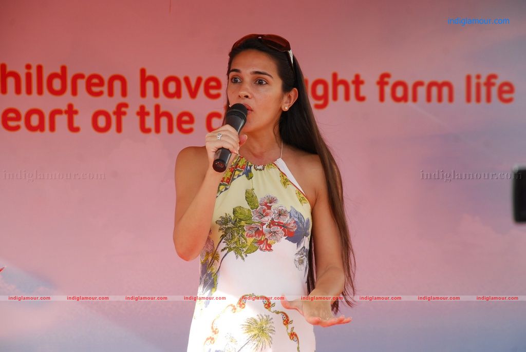 Tara Sharma Actress hd photo