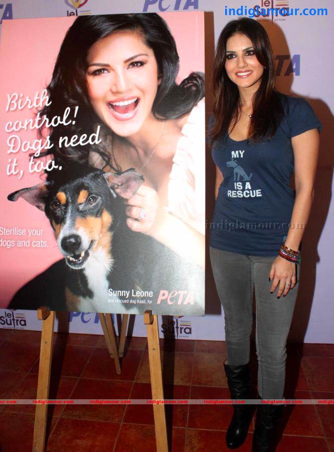 Sunny Leone Actress hd photo