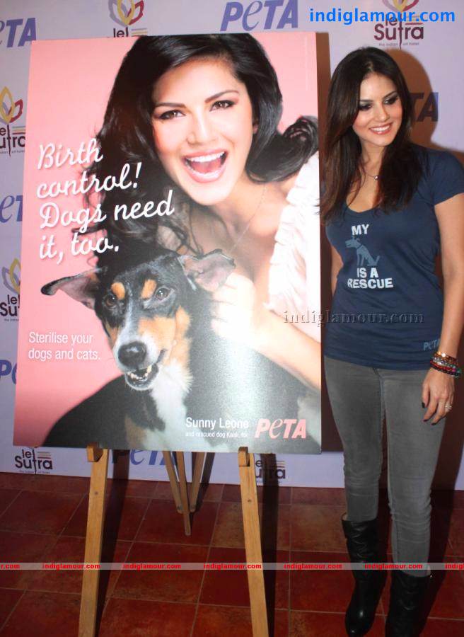 Sunny Leone Actress hd photo