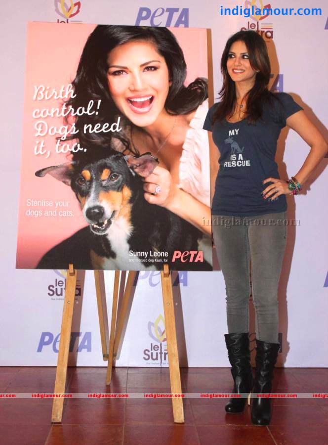 Sunny Leone Actress hd photo