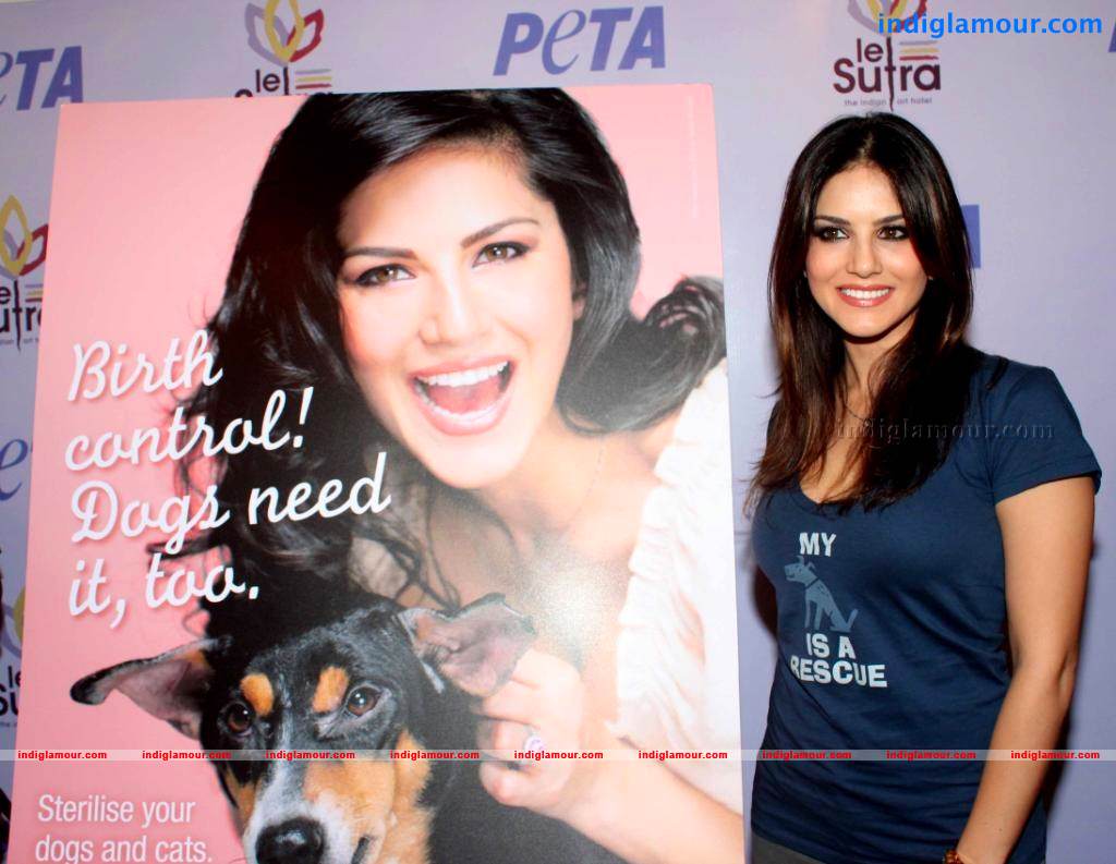 Sunny Leone Actress hd photo