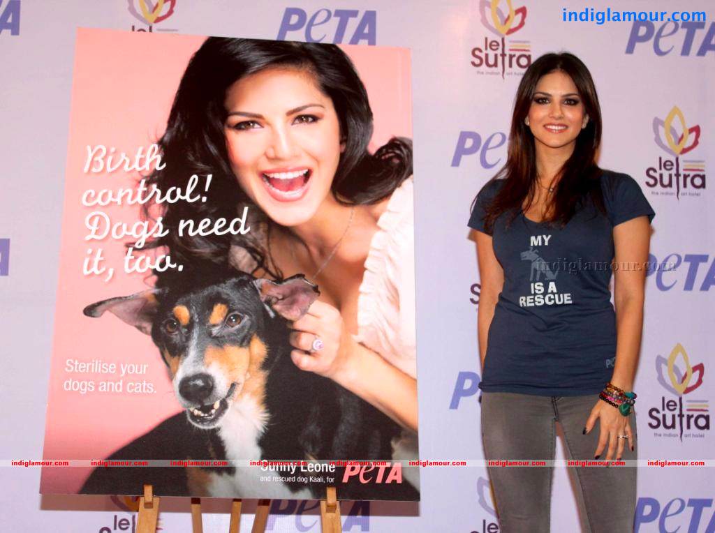 Sunny Leone Actress hd photo