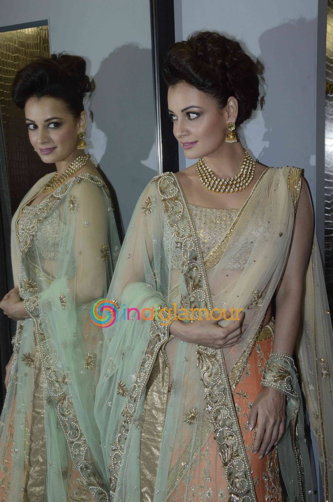 Dia Mirza Actress hd photo