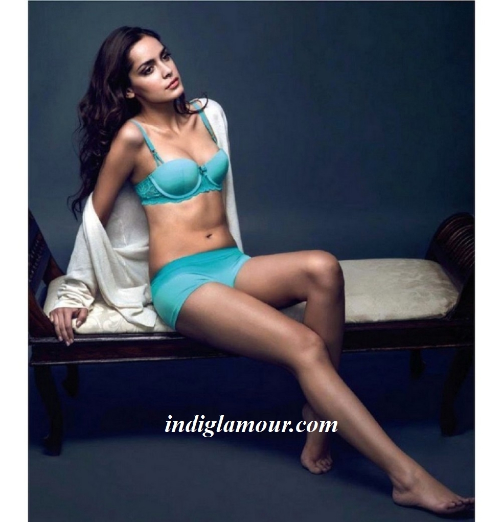 Shazahn Padamsee Actress hd photo
