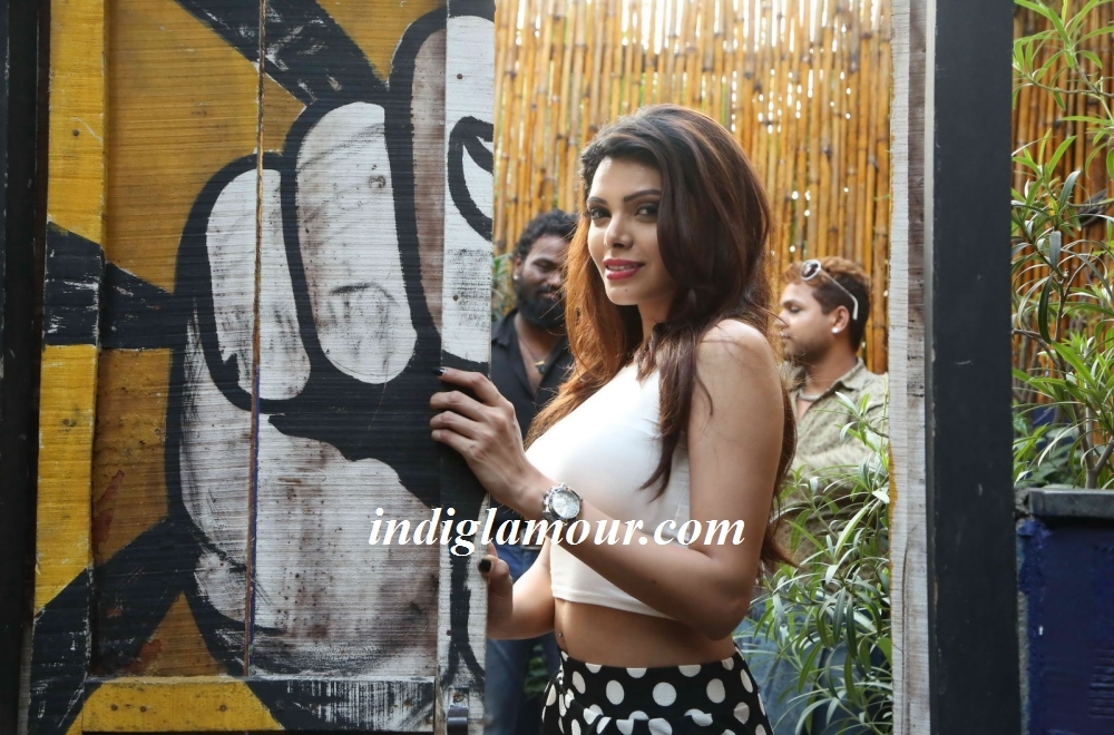 Sherlyn Chopra Actress hd photo