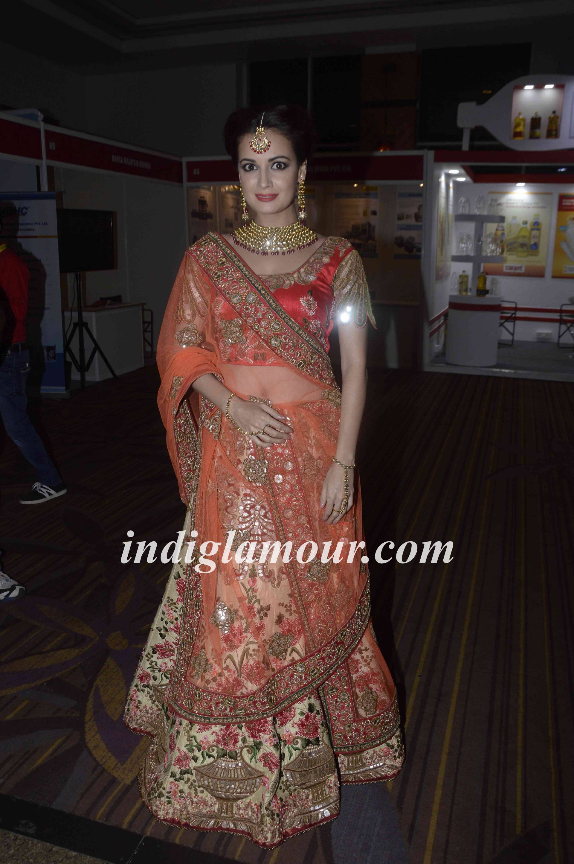 Dia Mirza Actress hd photo