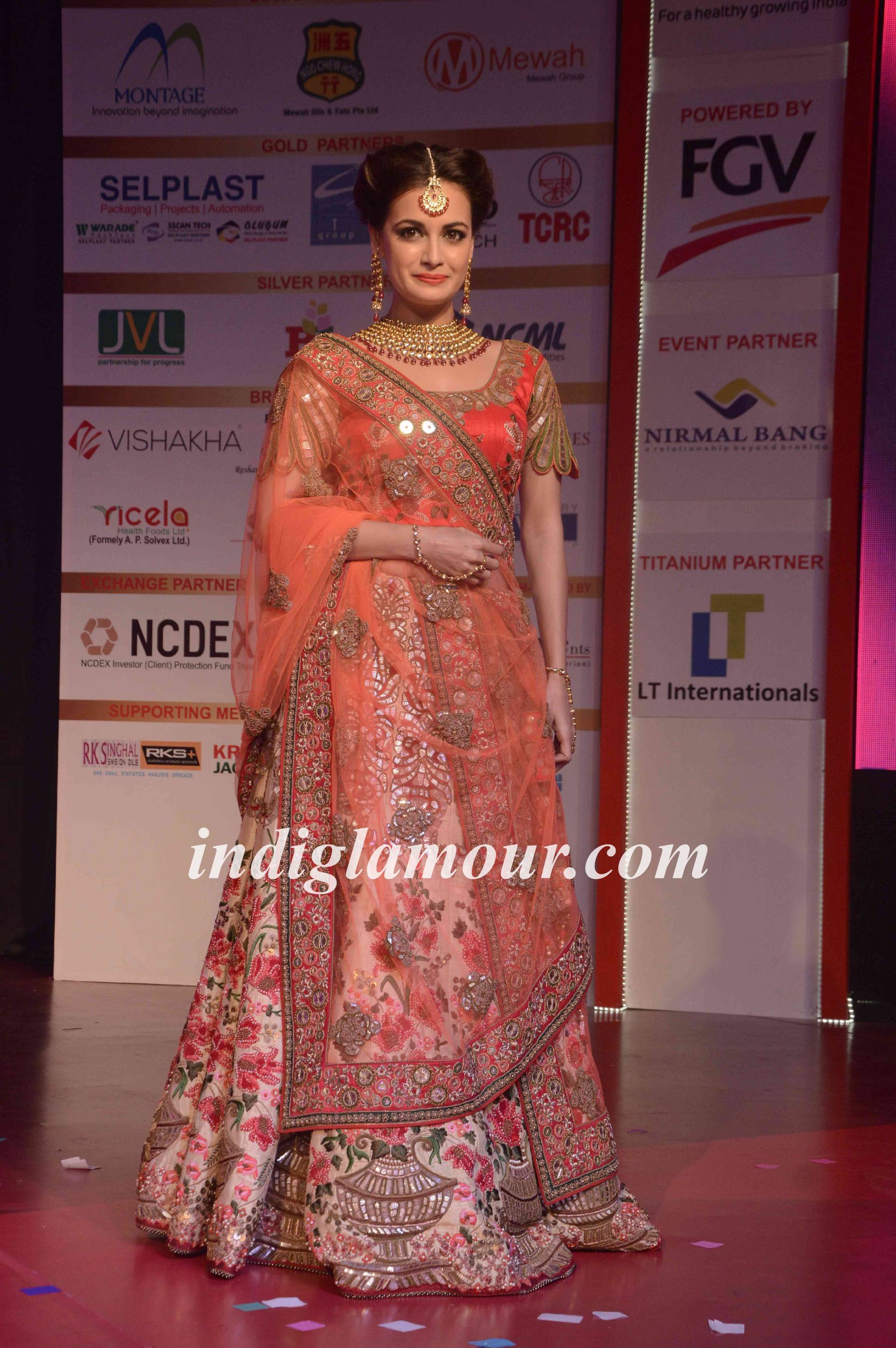 Dia Mirza Actress hd photo
