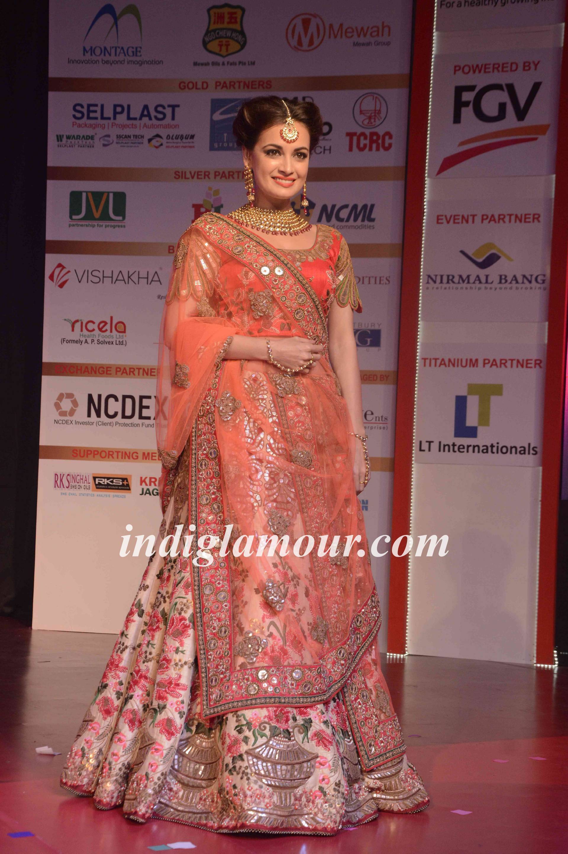 Dia Mirza Actress hd photo