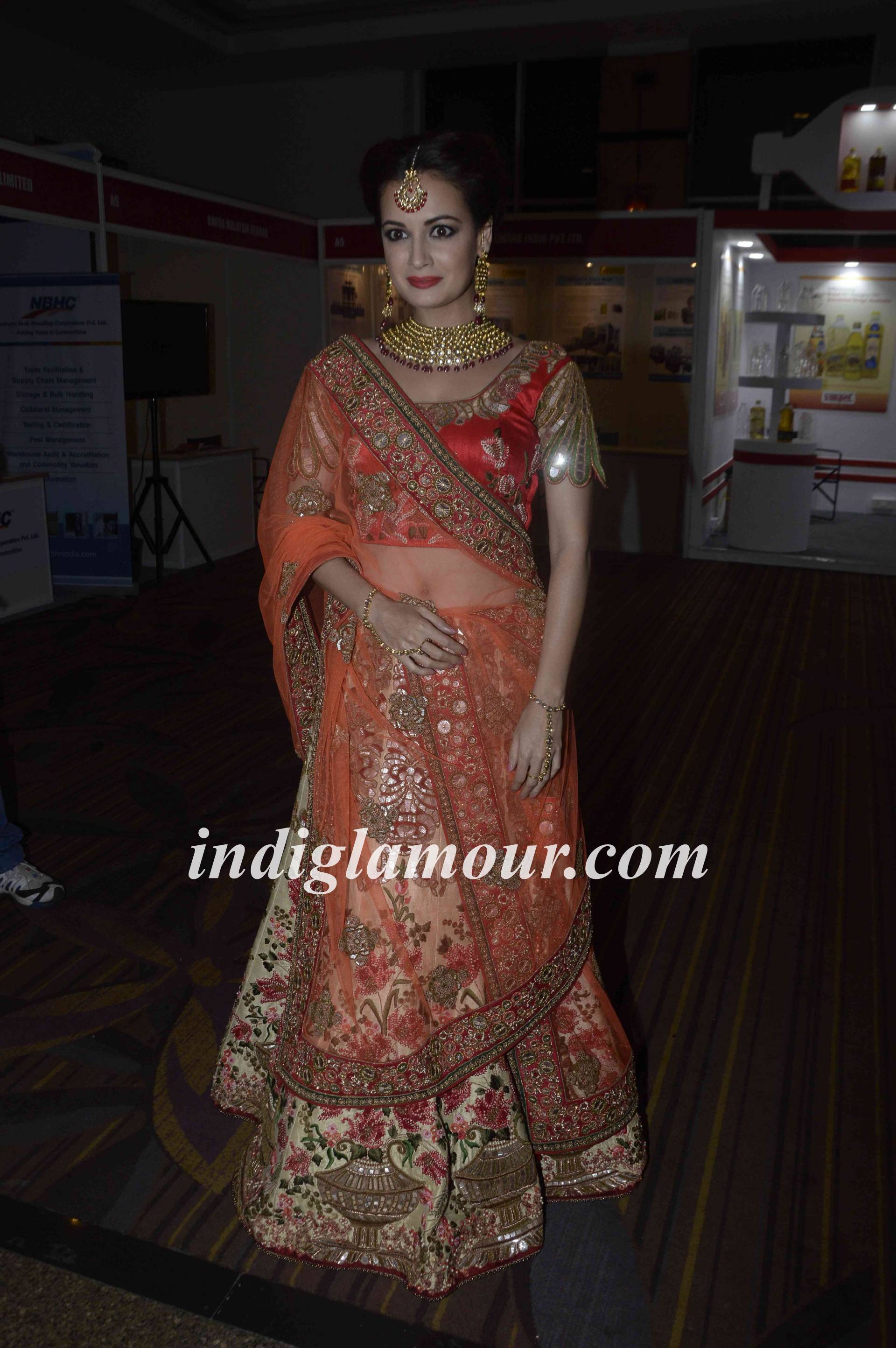 Dia Mirza Actress hd photo