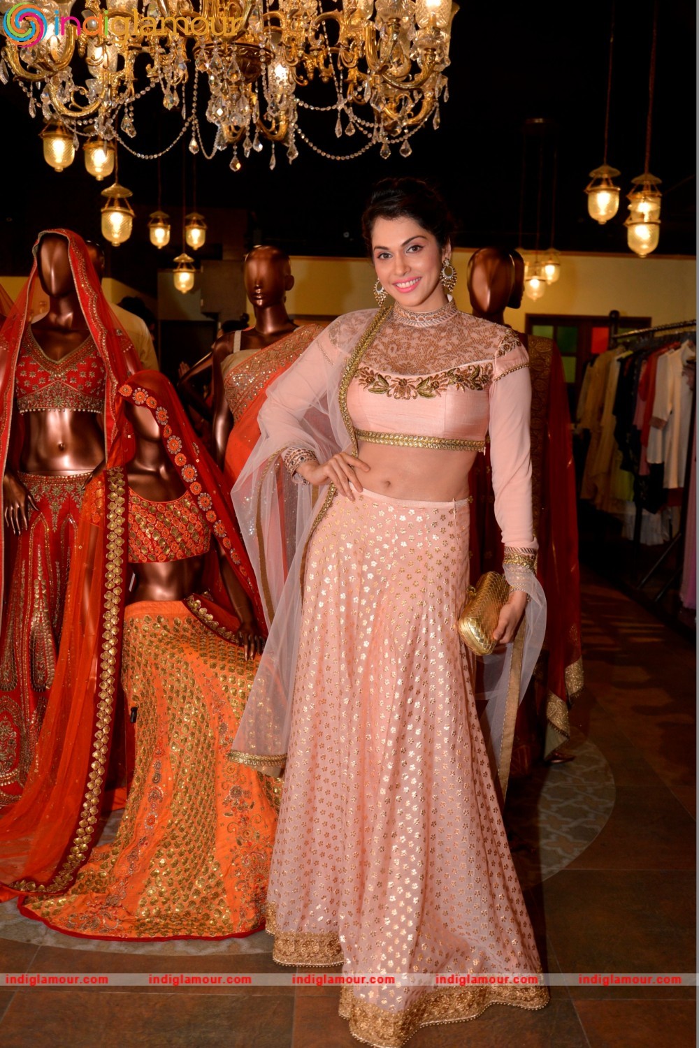 Isha Koppikar Actress hd photo