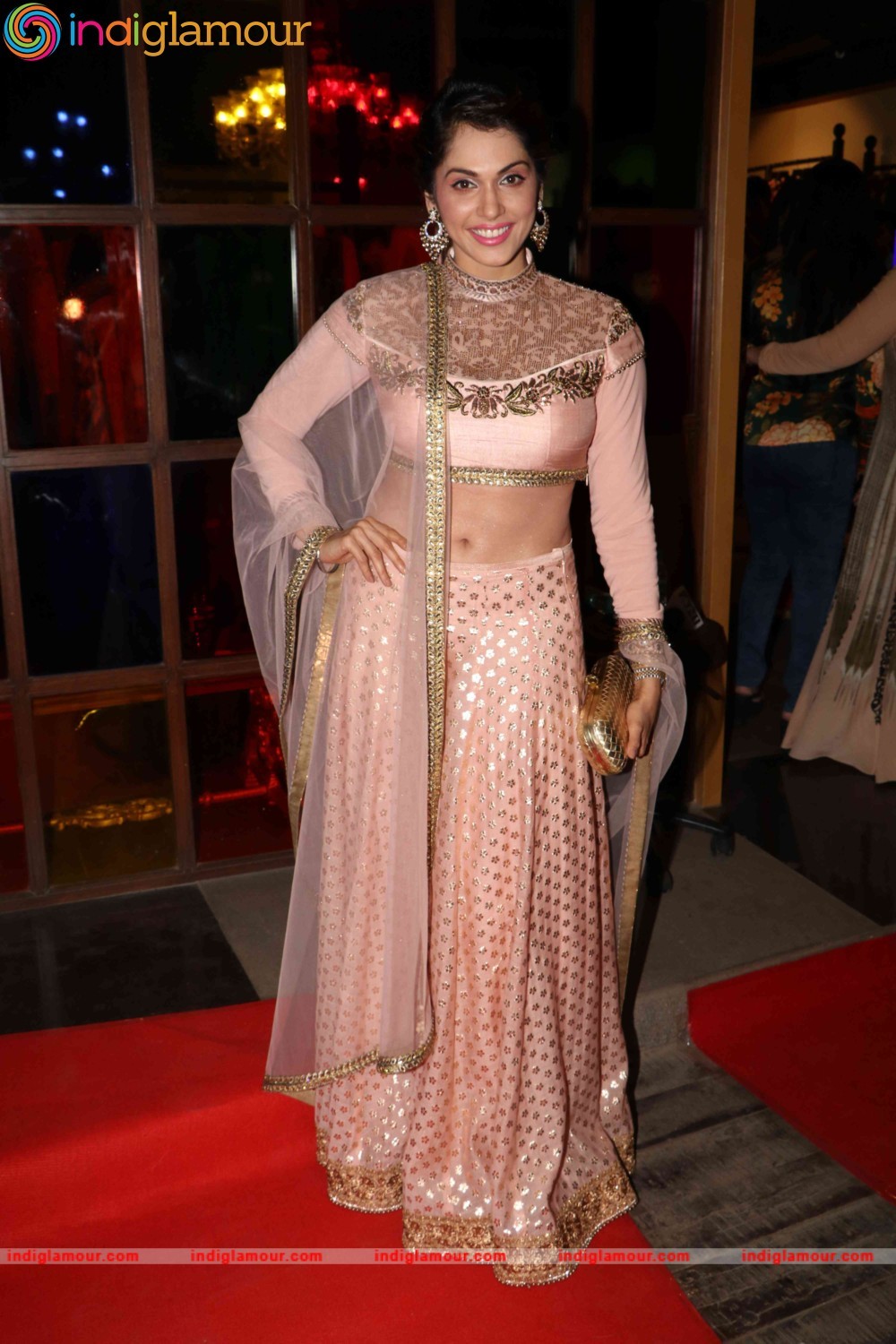 Isha Koppikar Actress hd photo