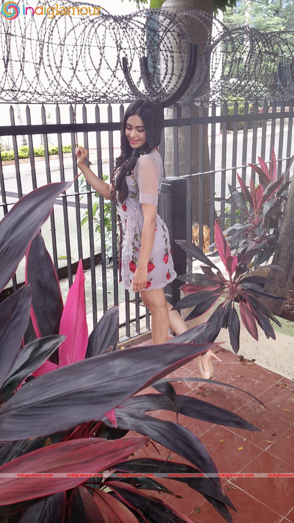 Adah Sharma Actress hd photo