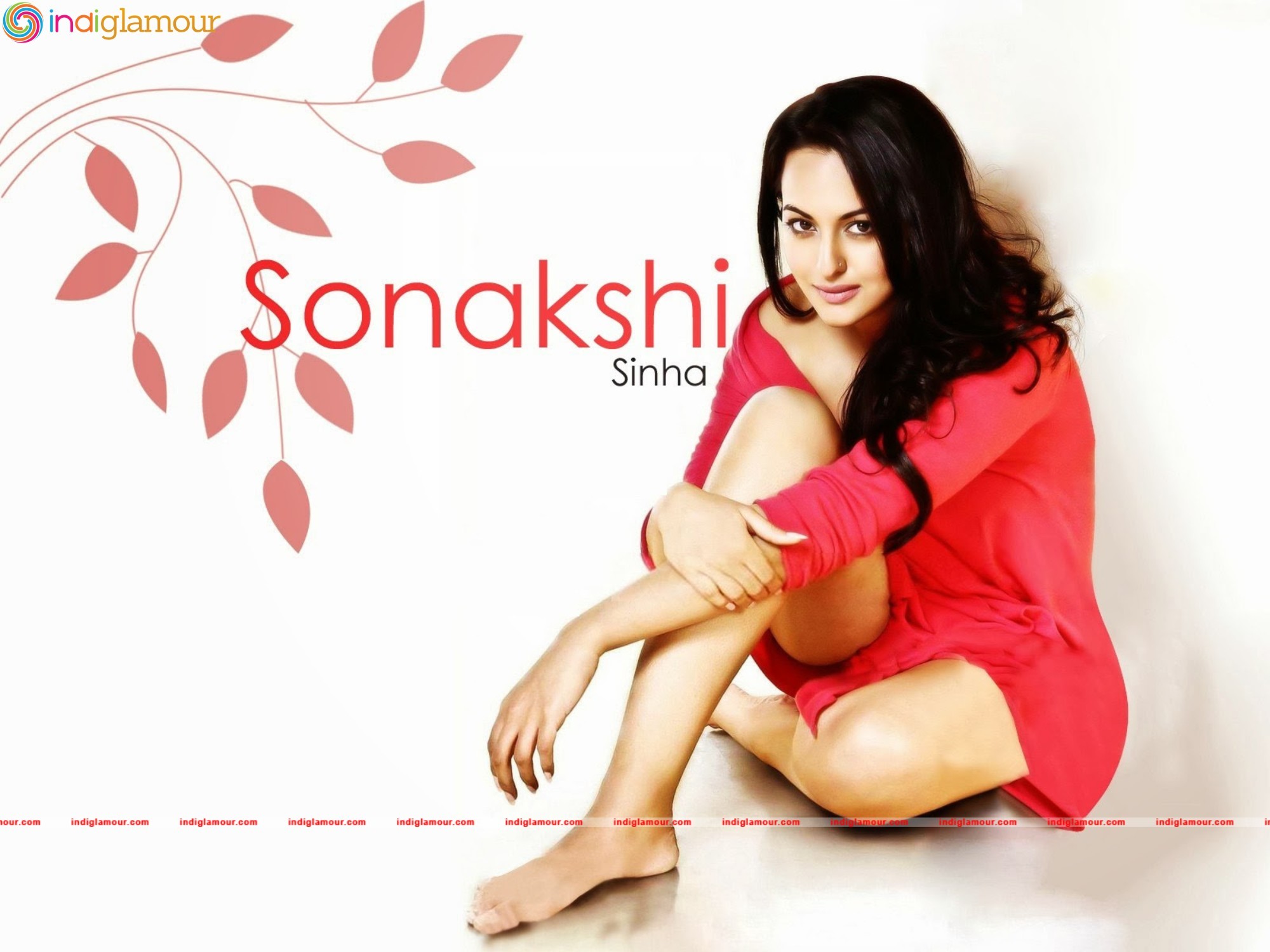 Sonakshi Sinha Actress hd photo