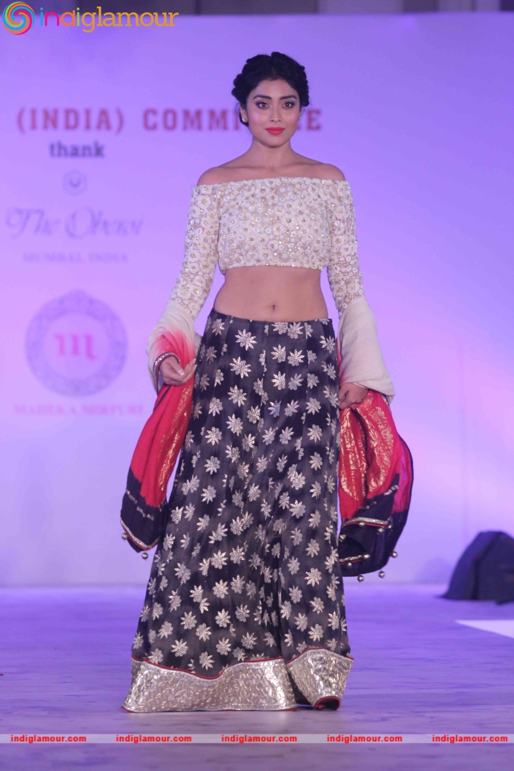 Shriya Saran Actress hd photo