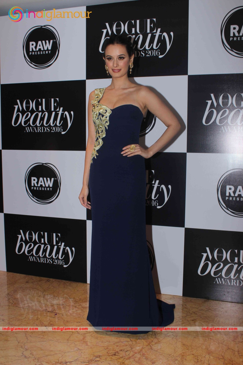 Evelyn Sharma Actress hd photo