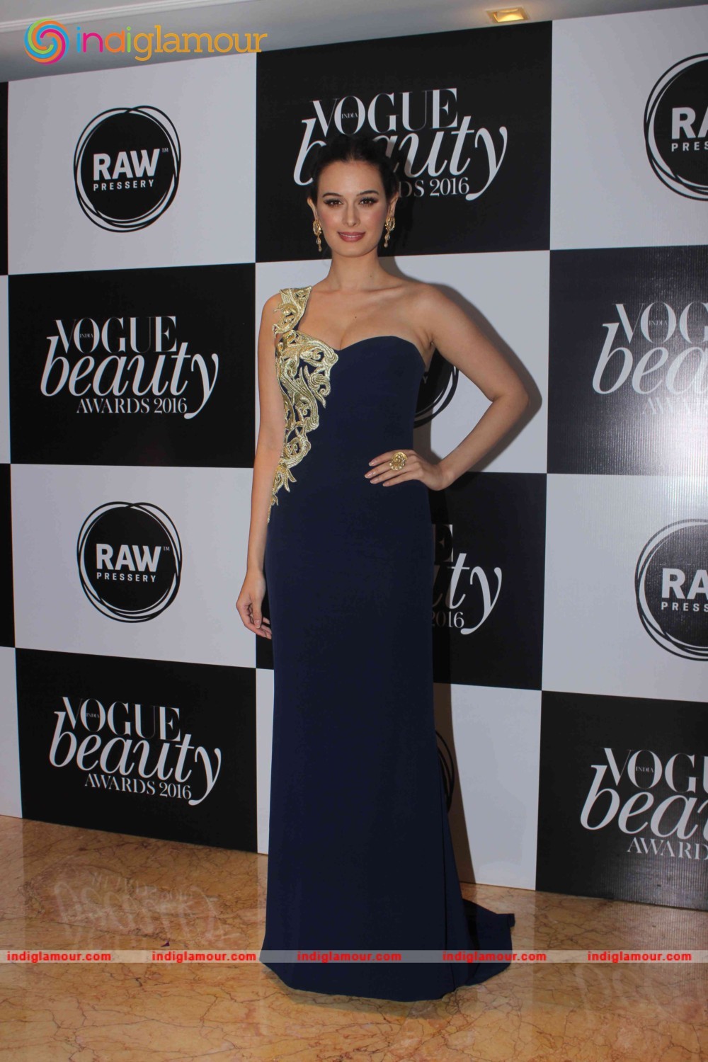 Evelyn Sharma Actress hd photo