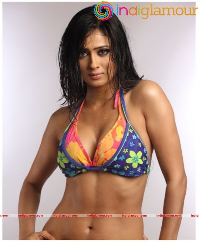 Shweta Tiwari Spicy And Hot Bikini Photos Gallery Actress hd photo