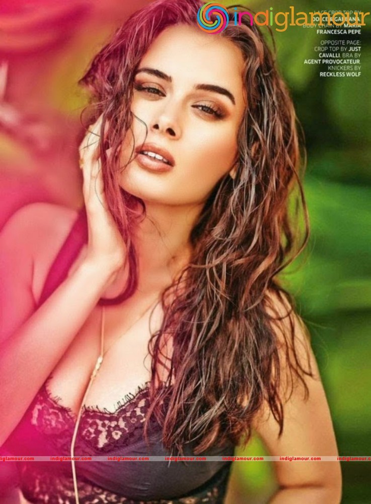 Evelyn Sharma Actress hd photo