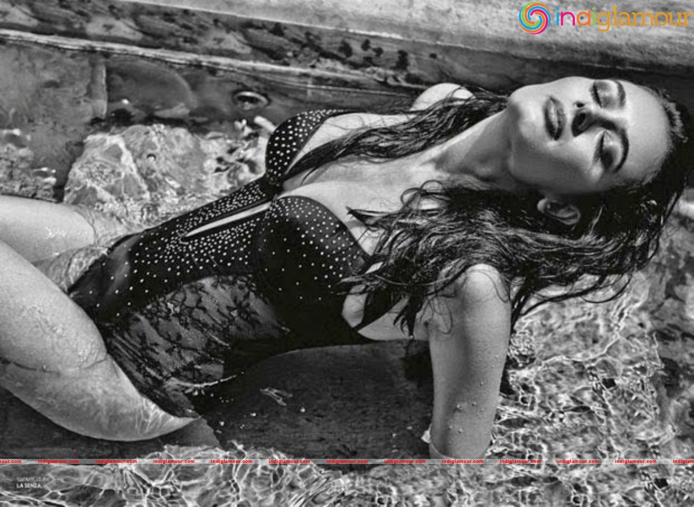 Evelyn Sharma Actress hd photo