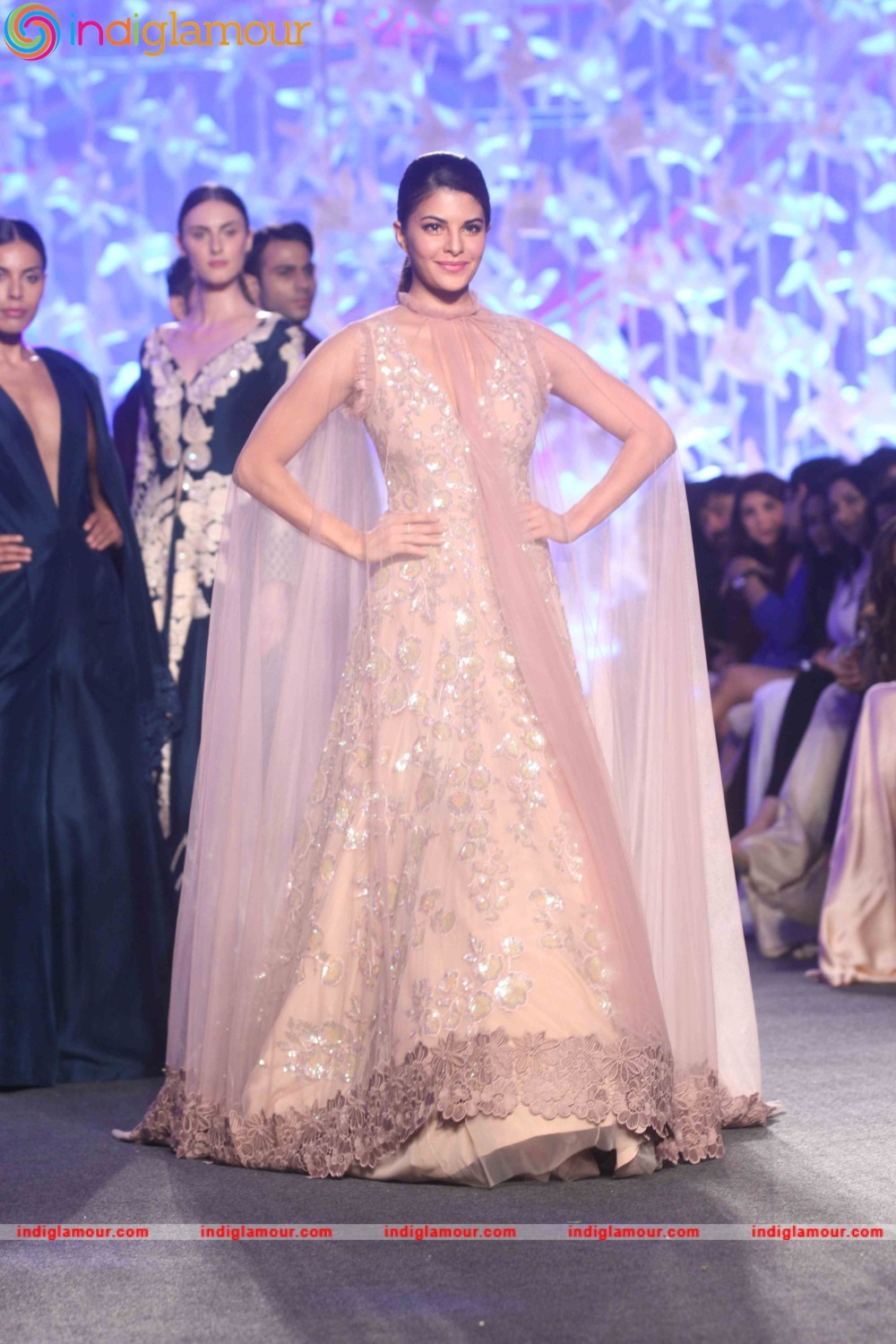 Jacqueline Fernandez Actress hd photo