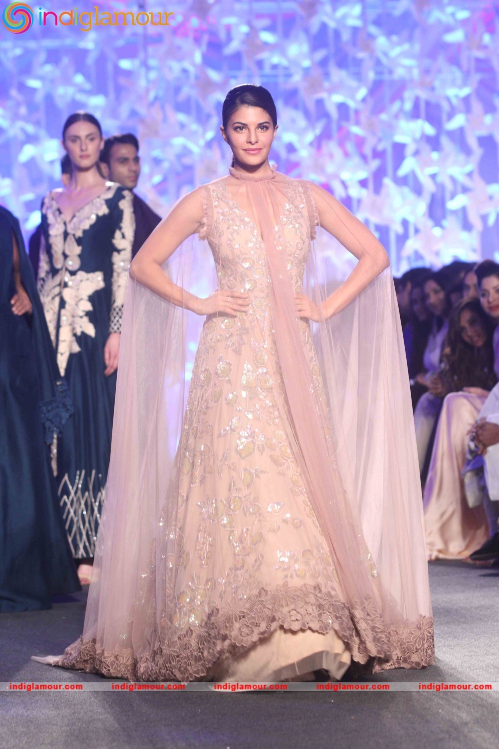 Jacqueline Fernandez Actress hd photo
