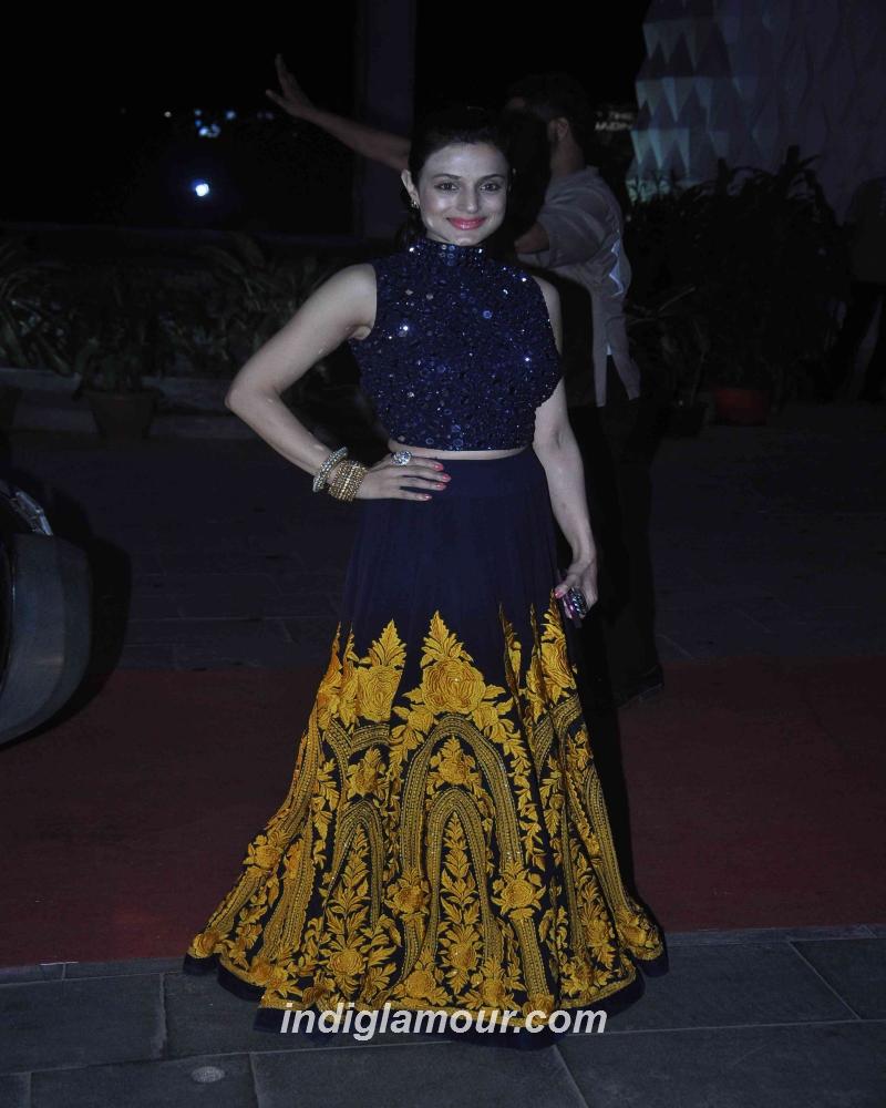 Ameesha Patel Actress hd photo