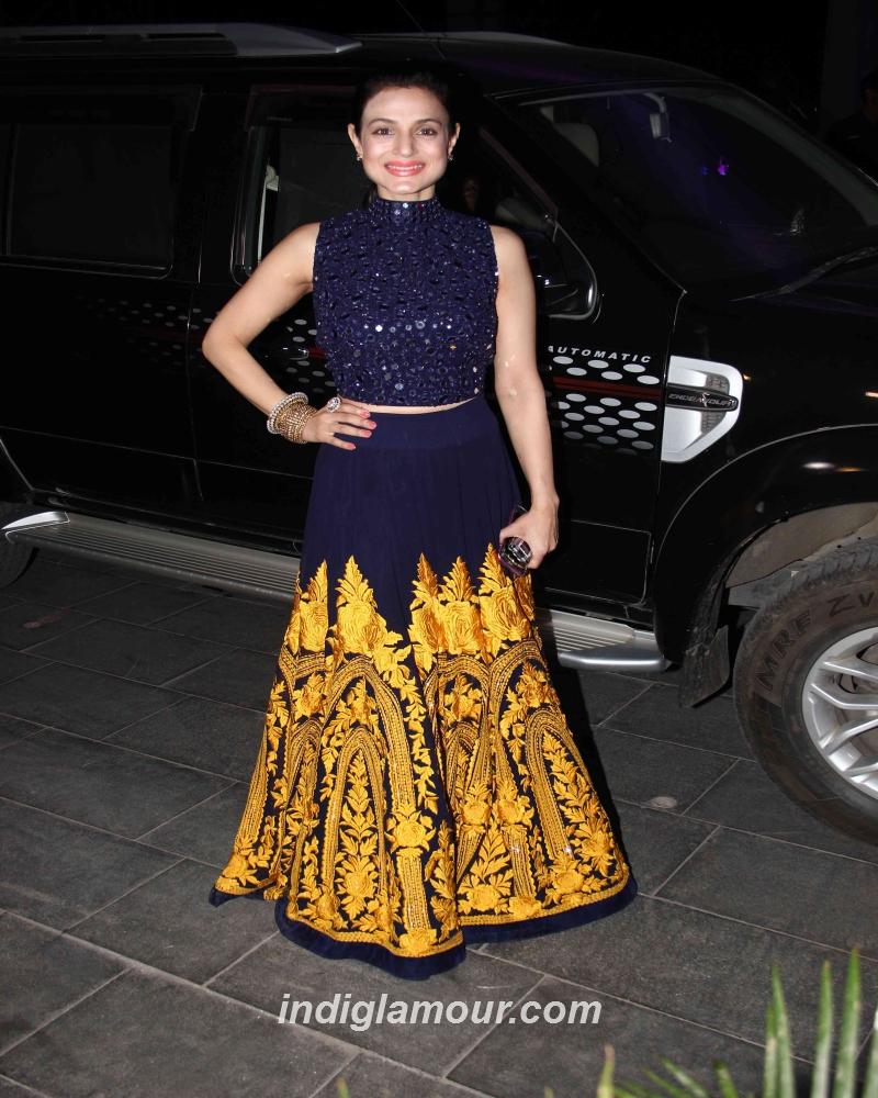 Ameesha Patel Actress hd photo