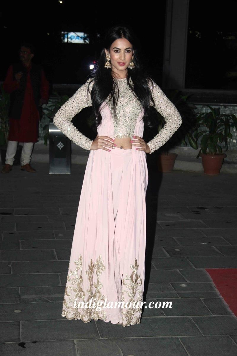 Sonal Chauhan Actress hd photo