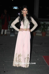Sonal chauhan photos