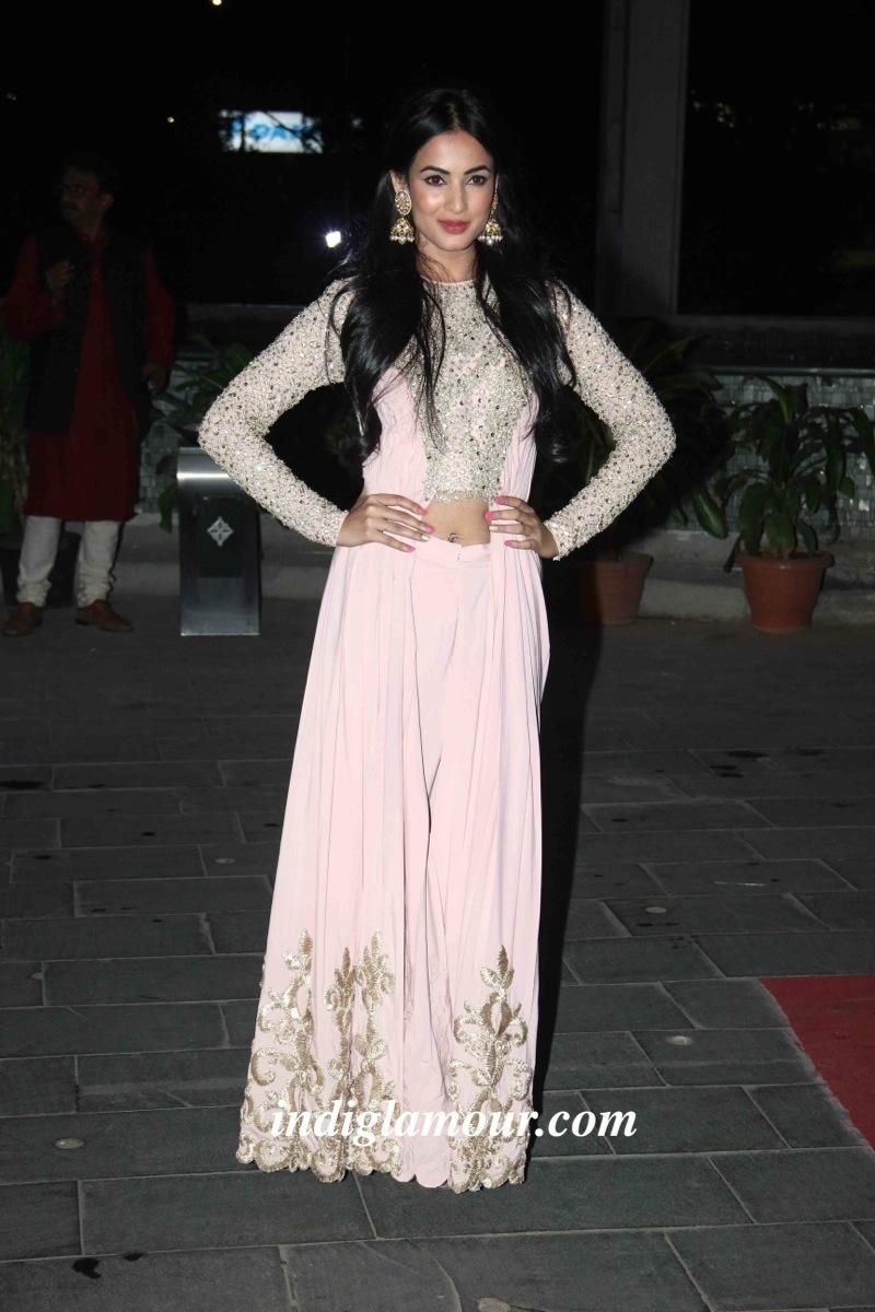 Sonal Chauhan Actress hd photo