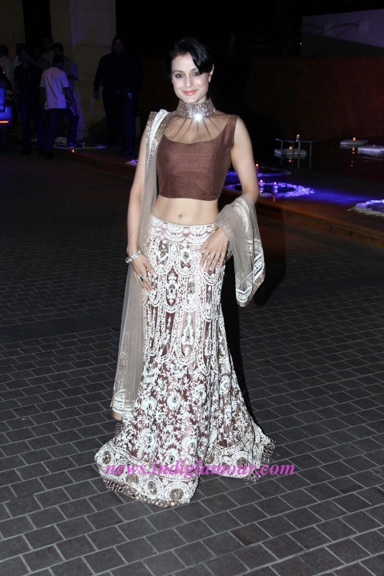 Ameesha Patel Actress hd photo
