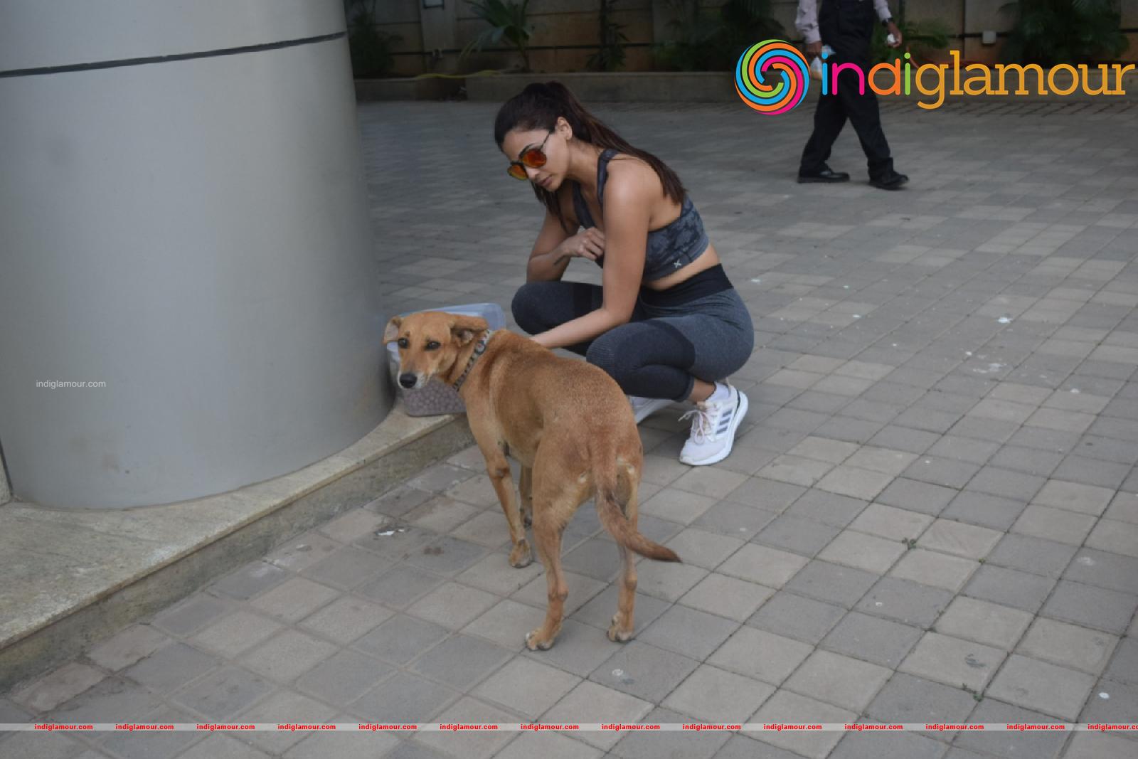 Daisy Shah Actress hd photo