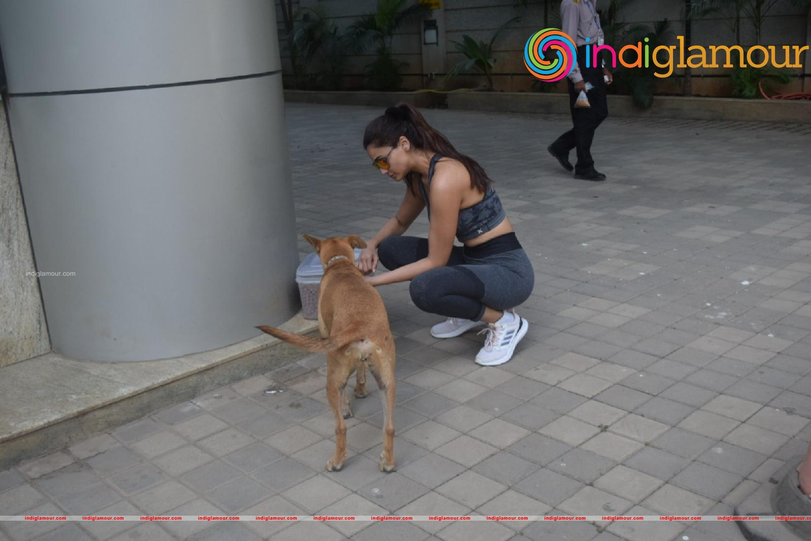 Daisy Shah Actress hd photo
