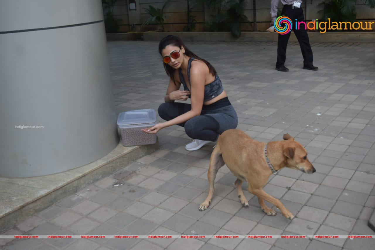 Daisy Shah Actress hd photo