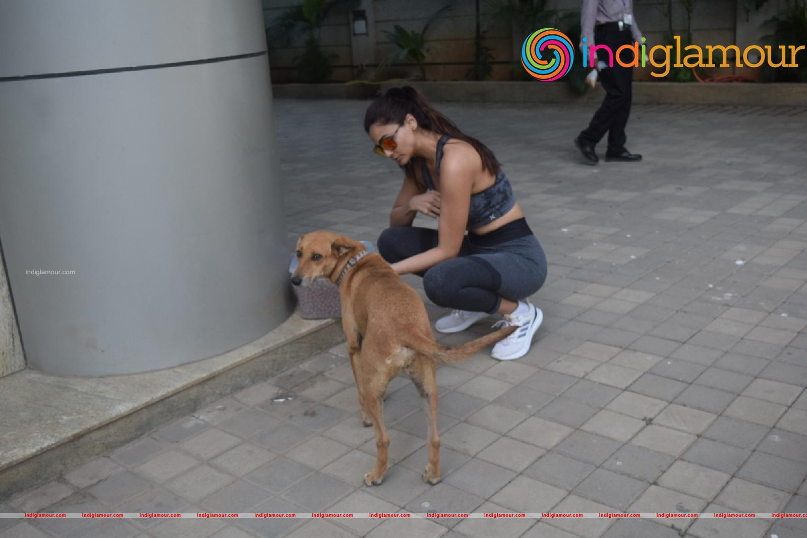 Daisy Shah Actress hd photo